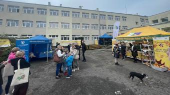Szkoleniowo piknikowo w Grudziądzu