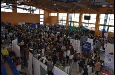 Targi Pracy, Szkół i Zawodów w Rypinie