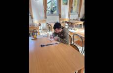 Uczestnik Konkursu Wiedzy o Zasadach BHP „Bezpiecznie od startu”