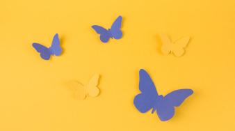 Profesjonalizm zaczyna się od równego traktowania